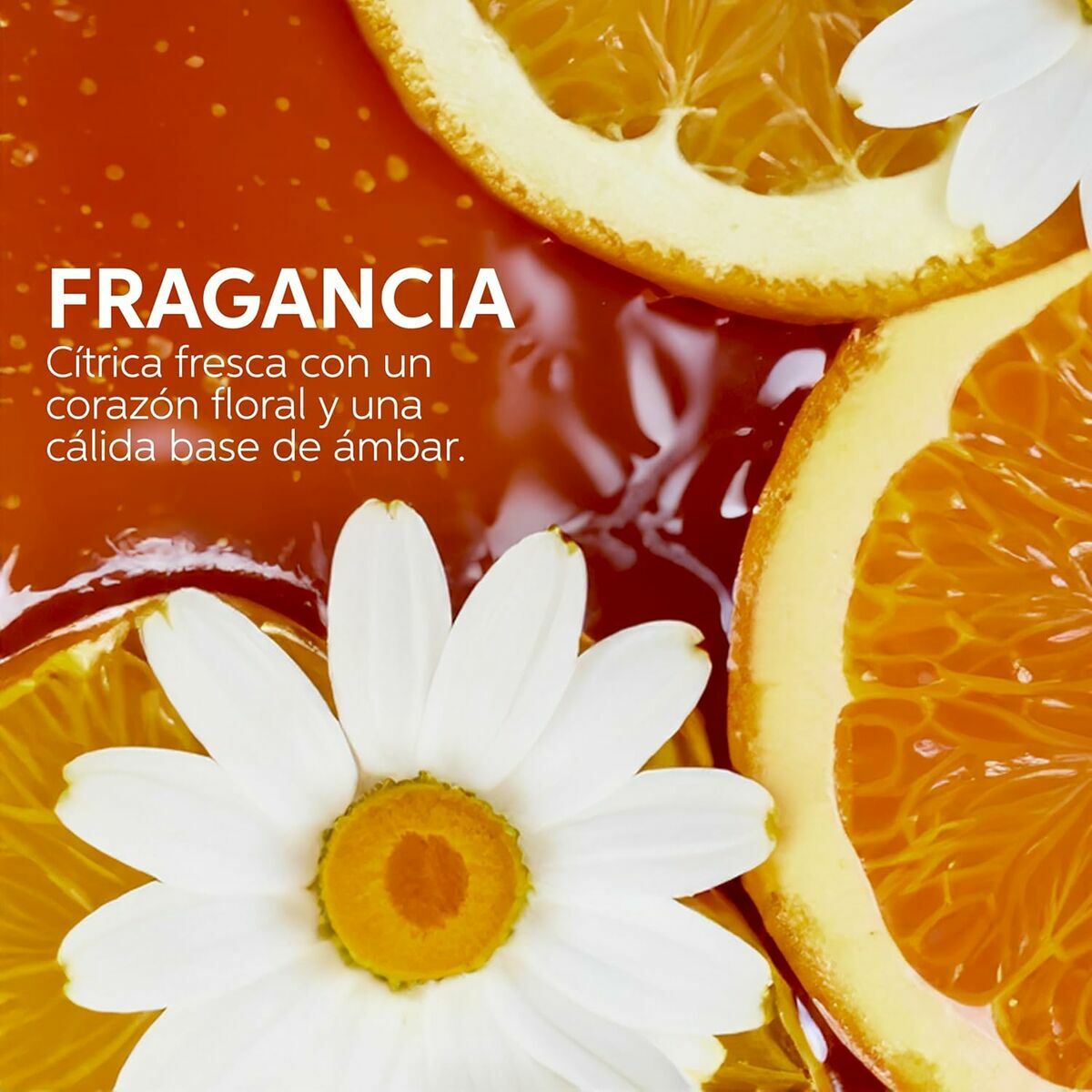 V5H3B6ADC94E251F0C6608265FA16BD5EA9R5607805P10