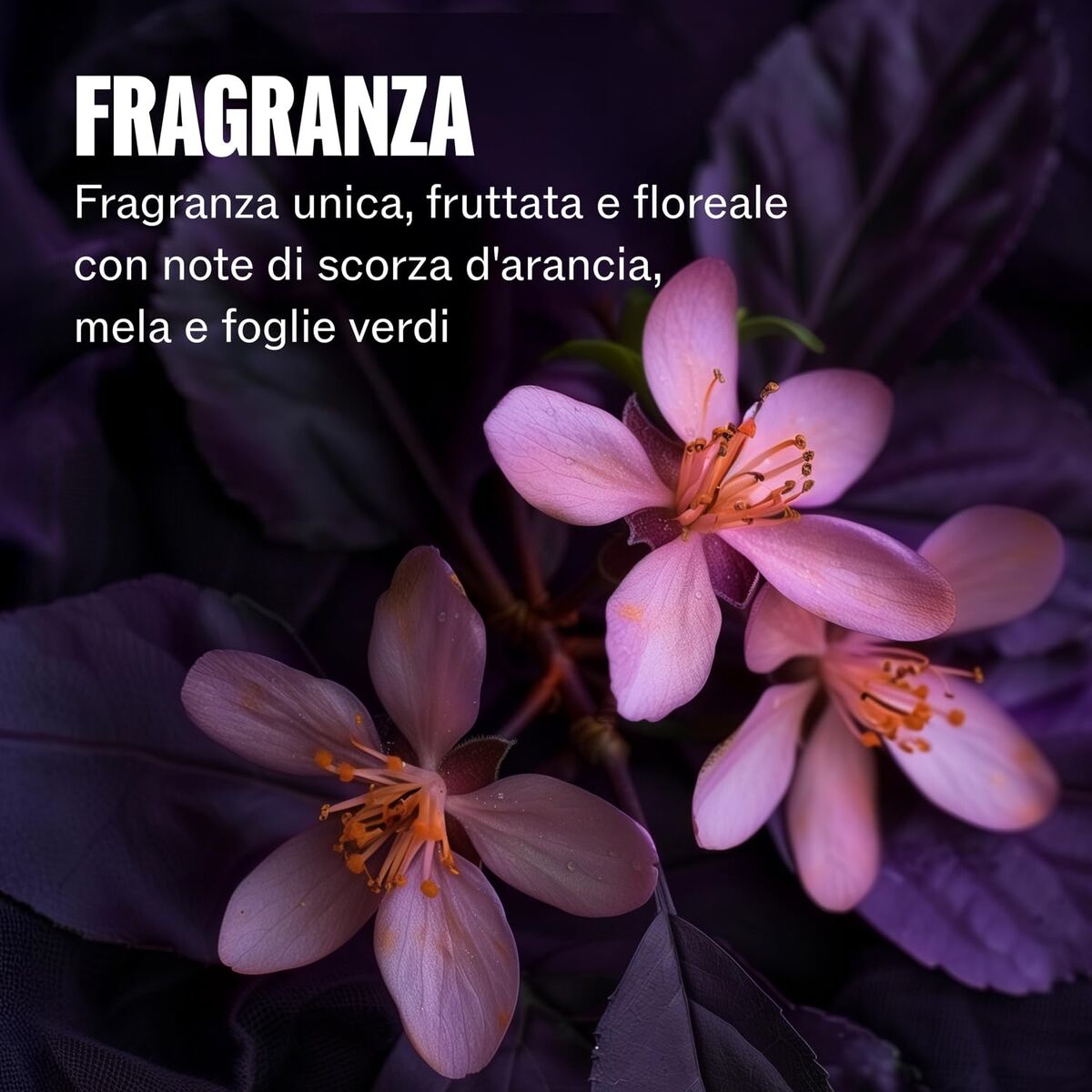 V1H3E44D46BA9F6DD1DB46404D33C181B7FRP9