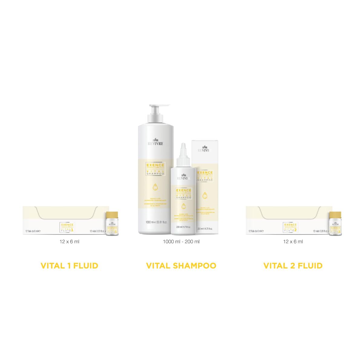 V1H4BC52E95B5699A32855D16FE866126ECRP2