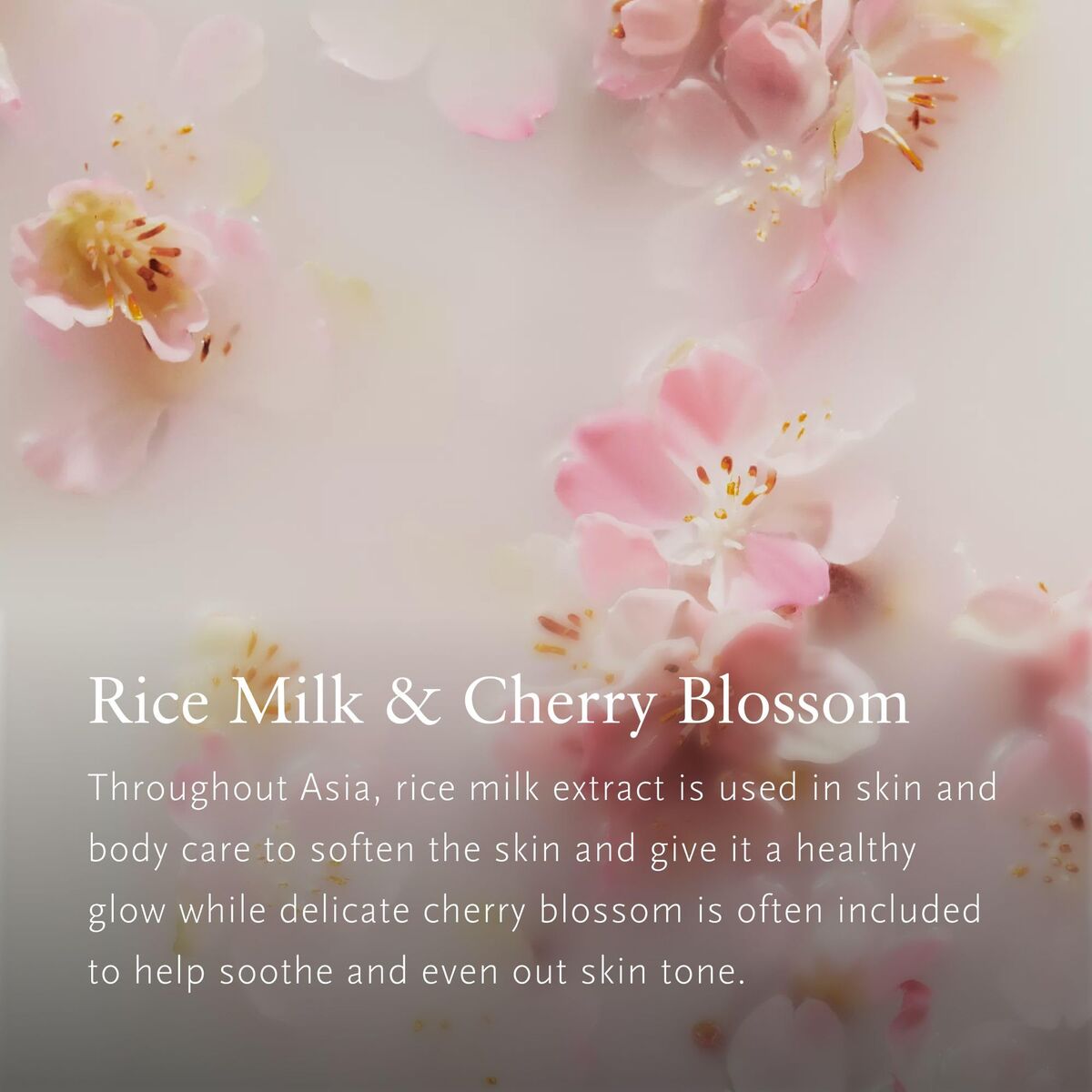 V1H723C23D14694E9ECF3F9D313E77C5BCCRP4